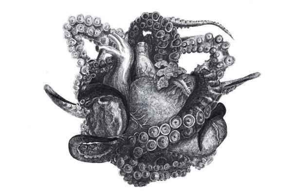 Kra29.at